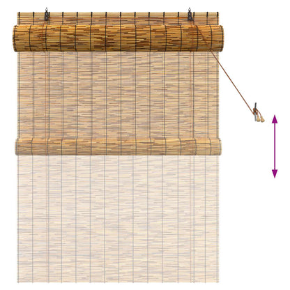 vidaXL Roller Blind Brown 120 x 160 cm Reed