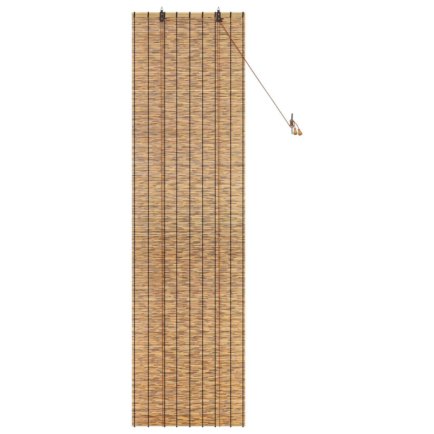 vidaXL Roller Blind Brown 60 x 220 cm Reed