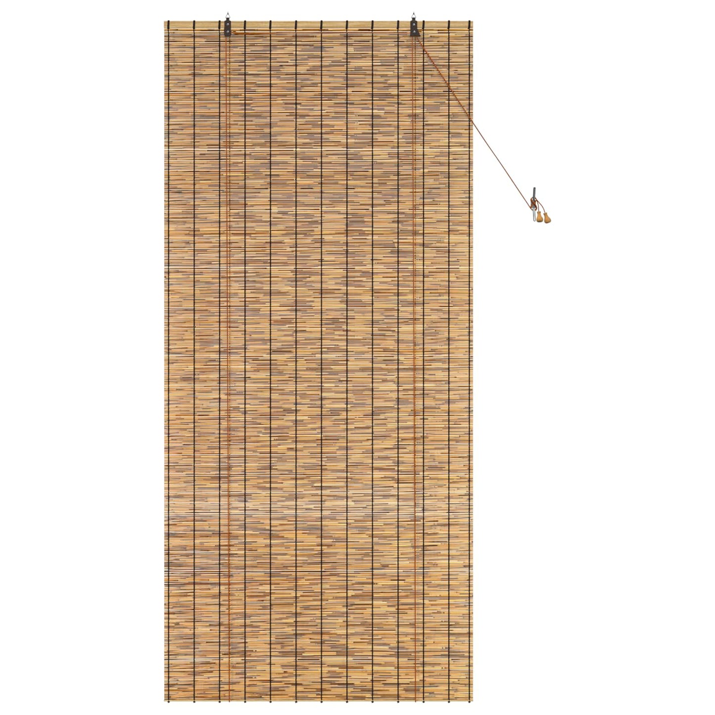 vidaXL Roller Blind Brown 100 x 220 cm Reed