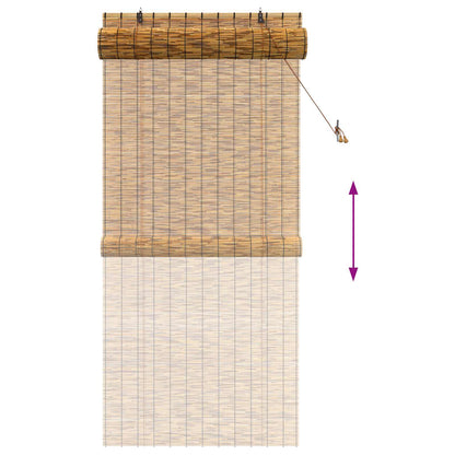 vidaXL Roller Blind Brown 100 x 220 cm Reed