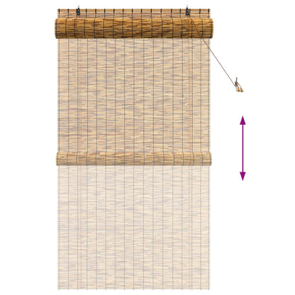 vidaXL Roller Blind Brown 120 x 220 cm Reed