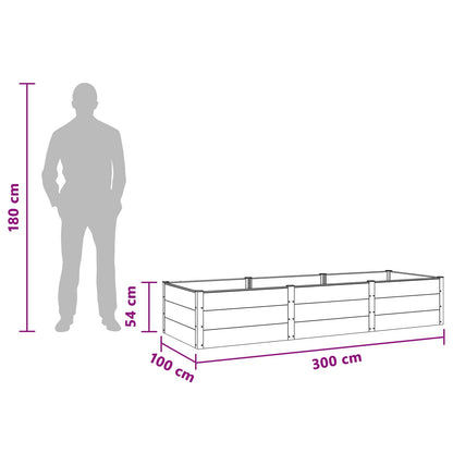 vidaXL Garden Raised Bed Black 300 x 100 x 54 cm