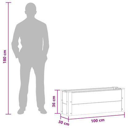 vidaXL Garden Raised Bed Black 100 x 30 x 36 cm