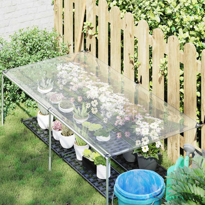 vidaXL Plant Cover Transparent 1 x 2 m PE