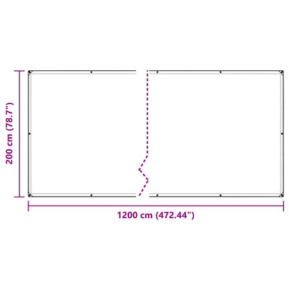 vidaXL Plant Cover Transparent 2 x 12 m PE