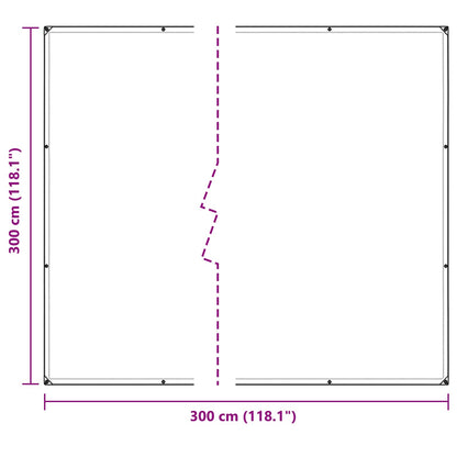 vidaXL Plant Cover Transparent 3 x 3 m PE