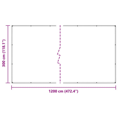 vidaXL Plant Cover Transparent 3 x 12 m PE