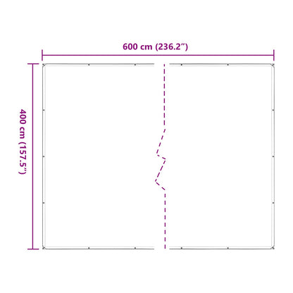 vidaXL Plant Cover Transparent 4 x 6 m PE