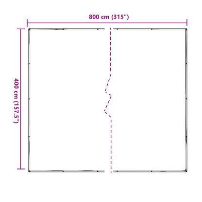 vidaXL Plant Cover Transparent 4 x 8 m PE