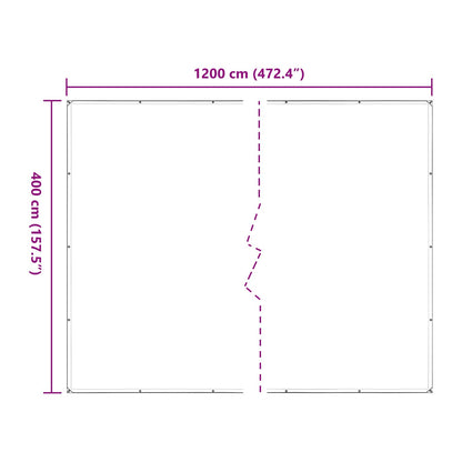 vidaXL Plant Cover Transparent 4 x 12 m PE
