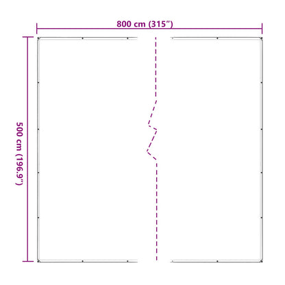 vidaXL Plant Cover Transparent 5 x 8 m PE