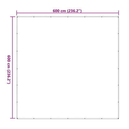 vidaXL Plant Cover Transparent 6 x 6 m PE