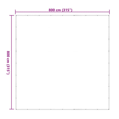 vidaXL Plant Cover Transparent 8 x 8 m PE