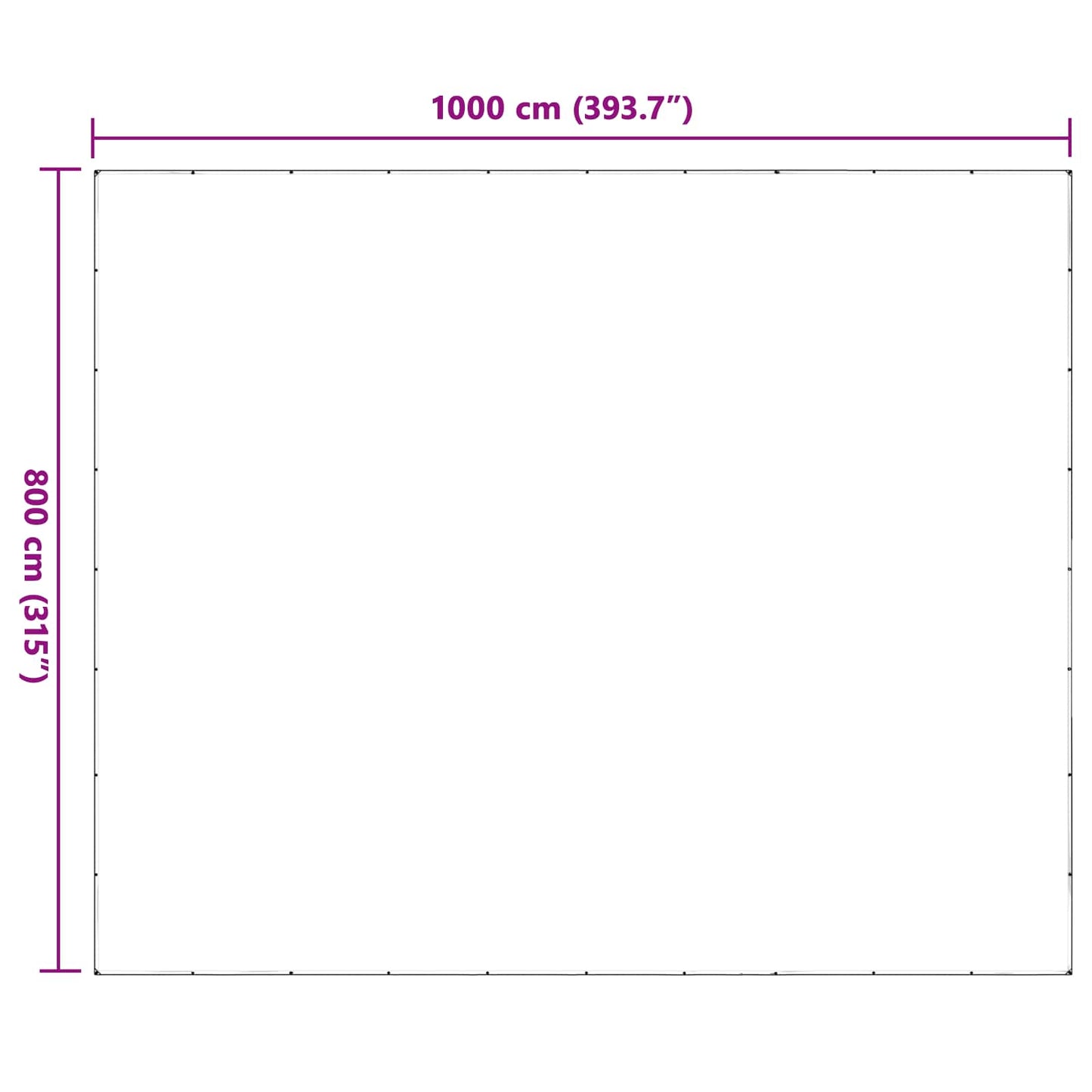 vidaXL Plant Cover Transparent 8 x 10 m PE