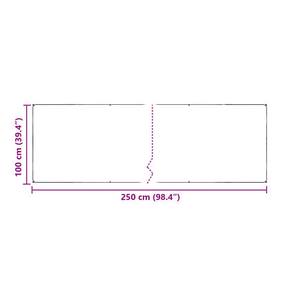 vidaXL Plant Cover Transparent 2.5 x 1 m PE