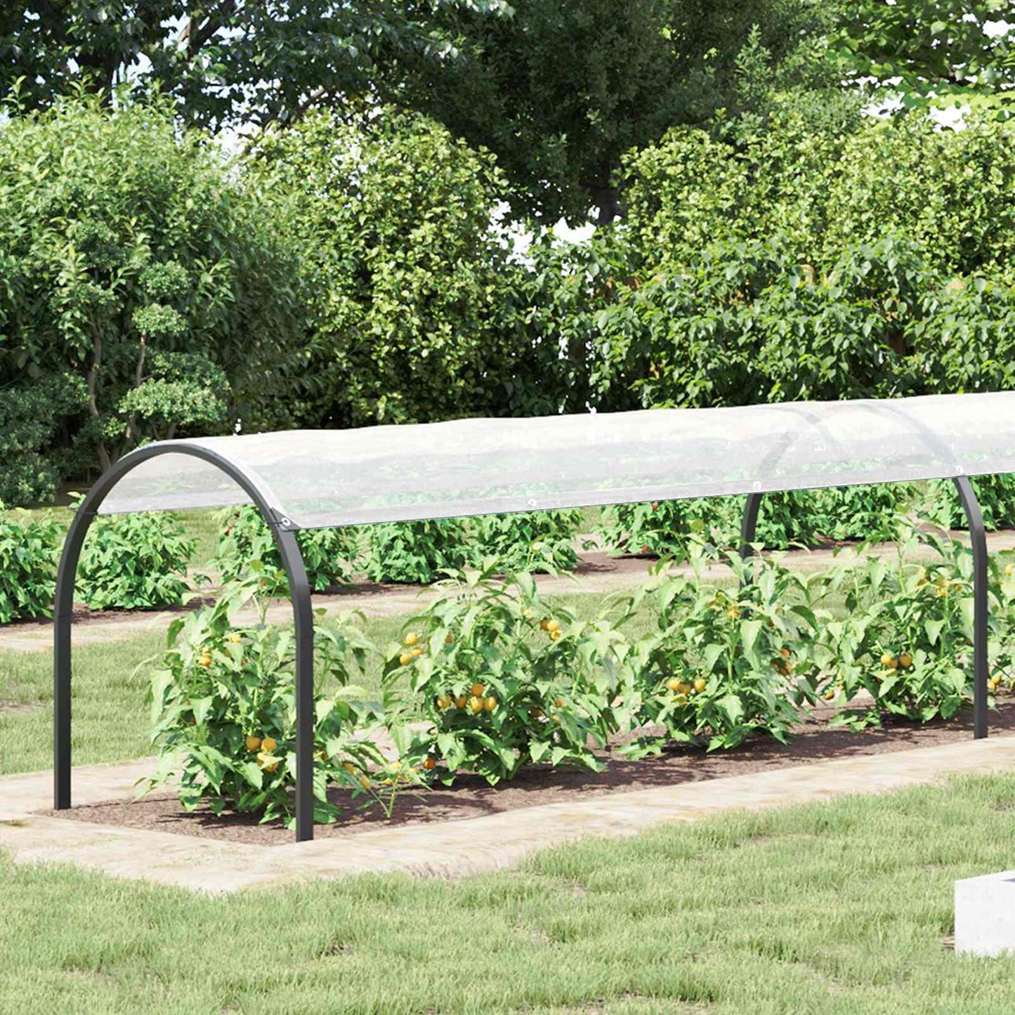 vidaXL Tarpaulin with Eyelets Transparent 10 x 1.5 m Polyethylene