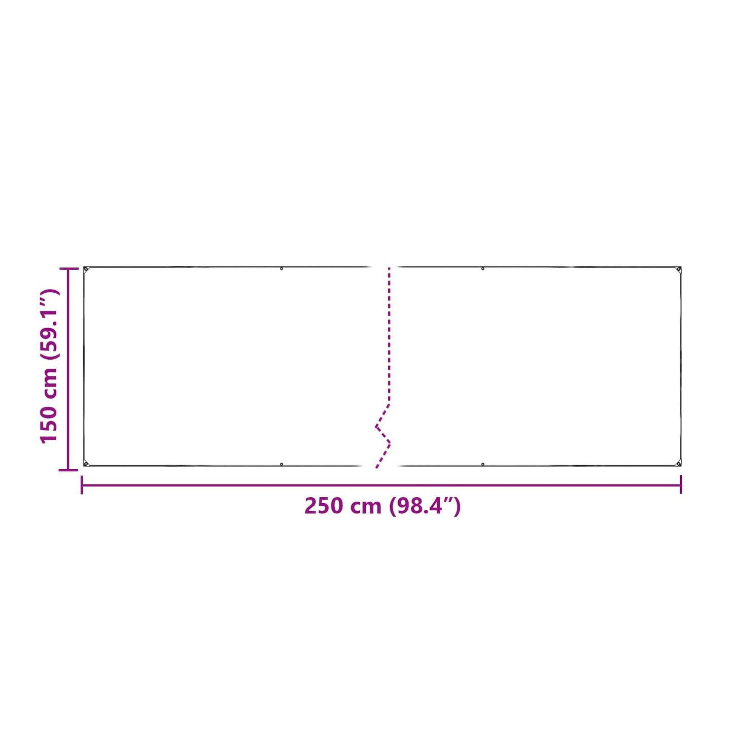 vidaXL Plant Cover Transparent 2.5 x 1.5 m PE