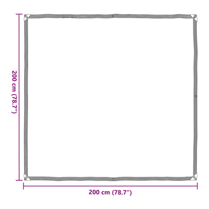 vidaXL Plant Cover Transparent 2 x 2 m PE