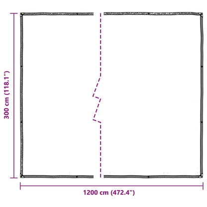 vidaXL Plant Cover Transparent 3 x 12 m PE