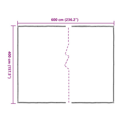 vidaXL Plant Cover Transparent 4 x 6 m PE