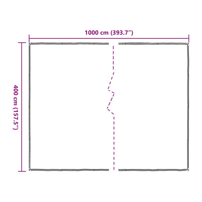 vidaXL Plant Cover Transparent 4 x 10 m PE