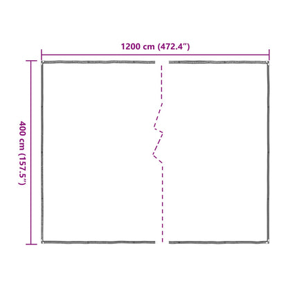 vidaXL Plant Cover Transparent 4 x 12 m PE