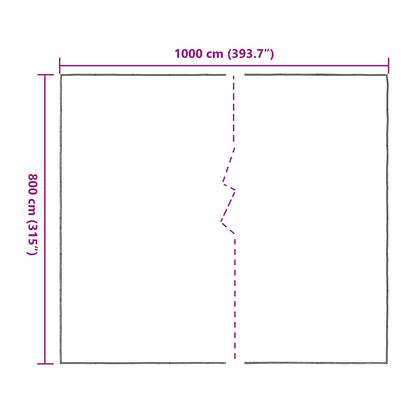 vidaXL Plant Cover Transparent 8 x 10 m PE