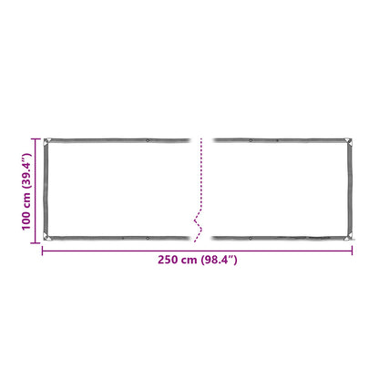 vidaXL Plant Cover Transparent 2.5 x 1 m PE