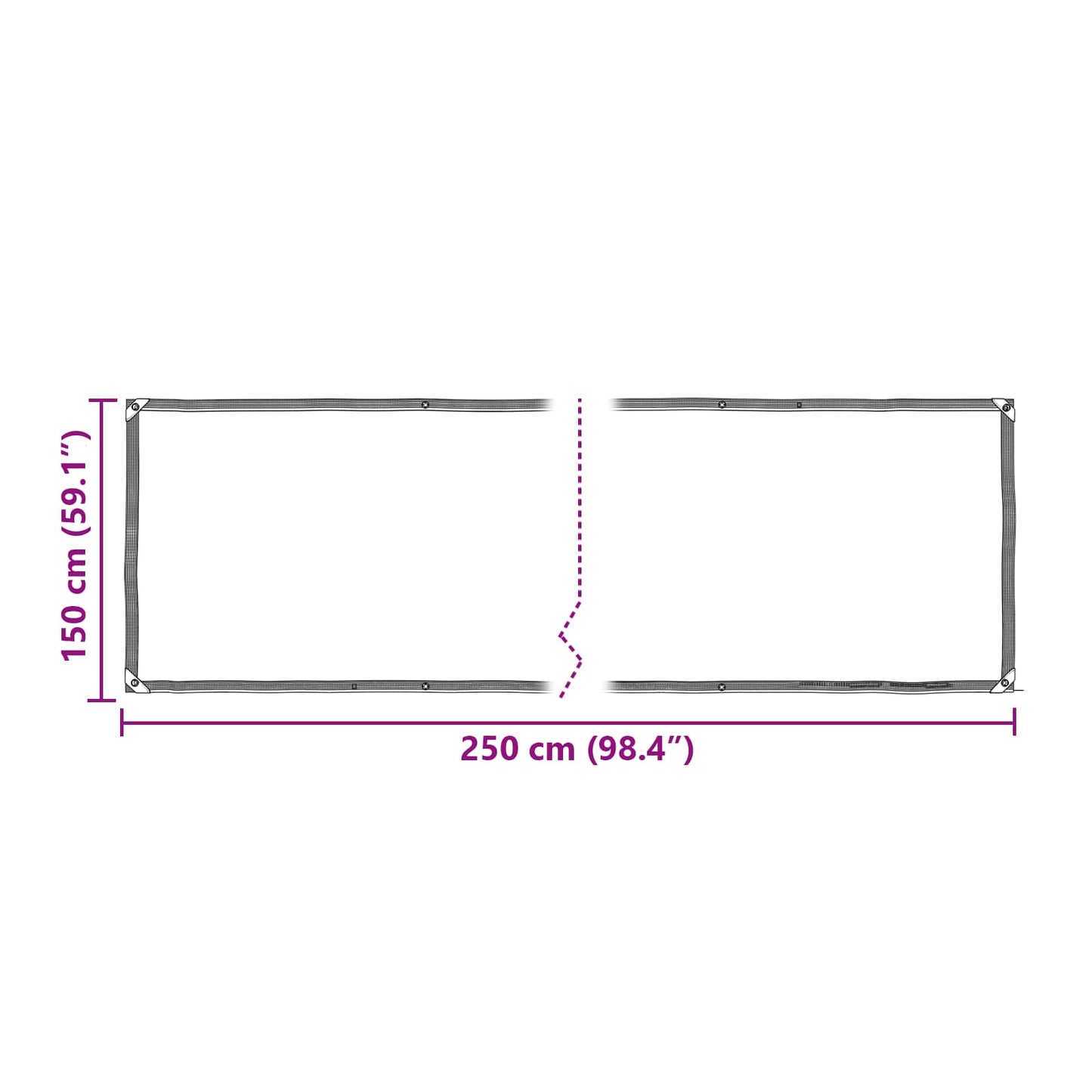 vidaXL Plant Cover Transparent 2.5 x 1.5 m PE