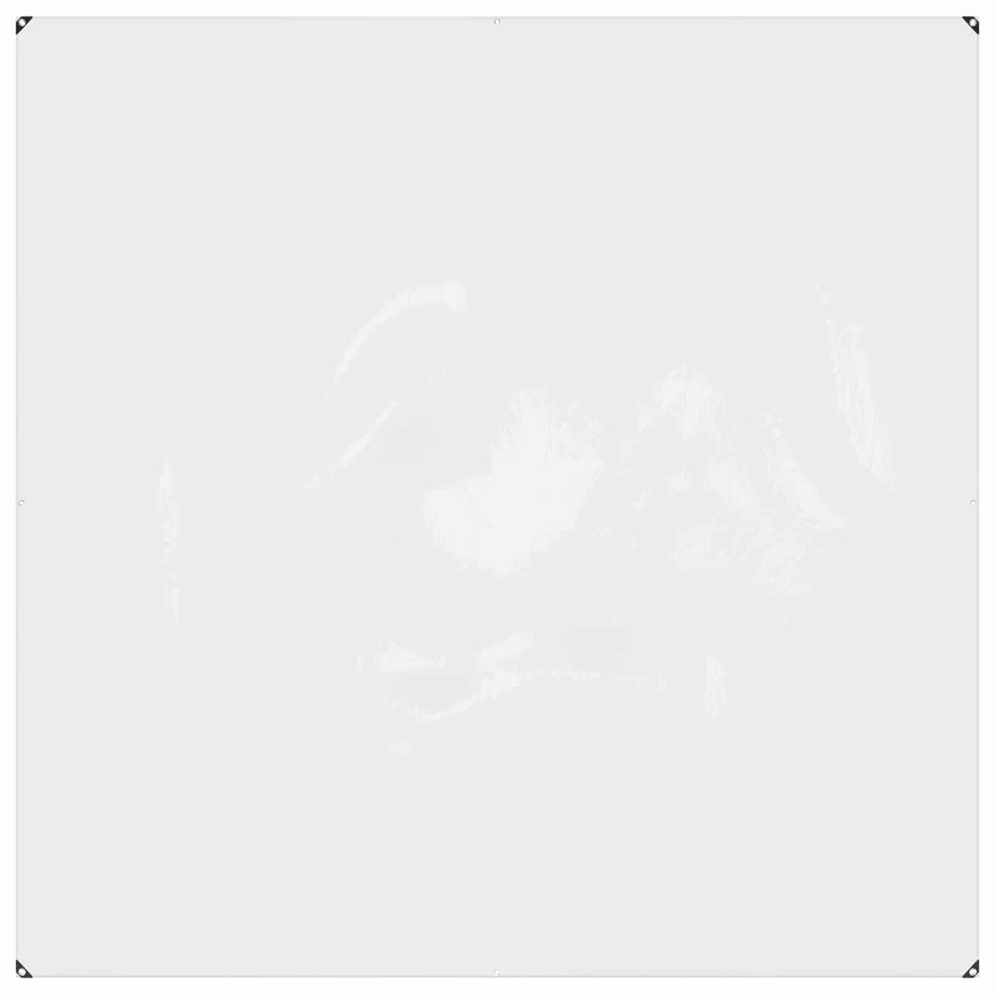 vidaXL Plant Cover Transparent 2 x 2 m PVC