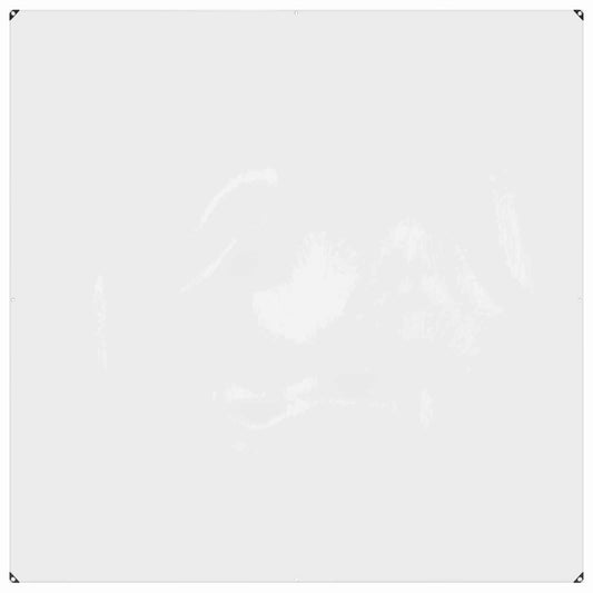 vidaXL Plant Cover Transparent 2 x 2 m PVC