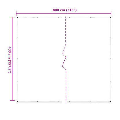 vidaXL Plant Cover Transparent 4 x 8 m PVC