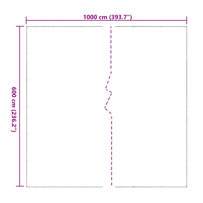 vidaXL Plant Cover Transparent 6 x 10 m PVC