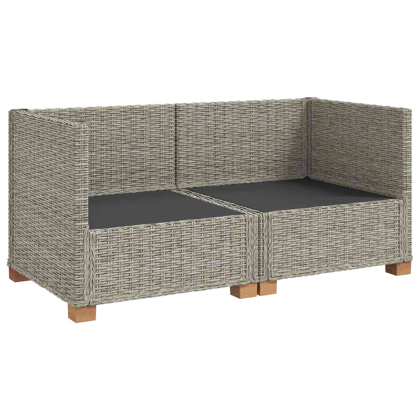 vidaXL 2 pcs Rattan Lounge Set with Cushions GENDT Natural Rattan