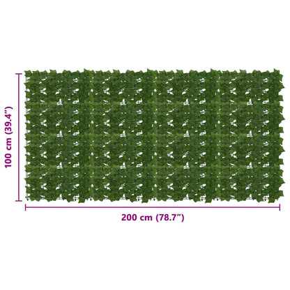 vidaXL Balcony Screen with Leaves Green 200 x 100 cm