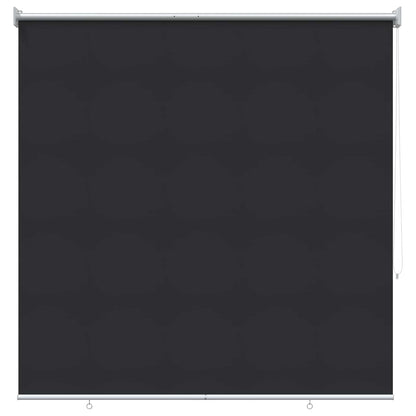 vidaXL Outdoor Roller Blind UV Protection Anthracite Polyester