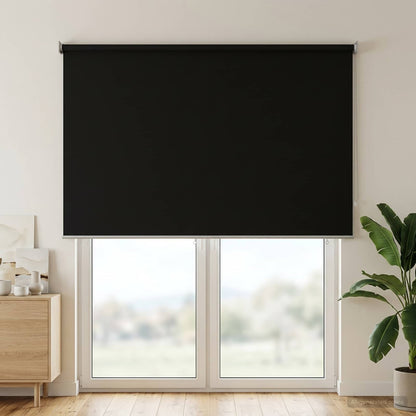 vidaXL Outdoor Roller Blind UV Protection Anthracite Polyester