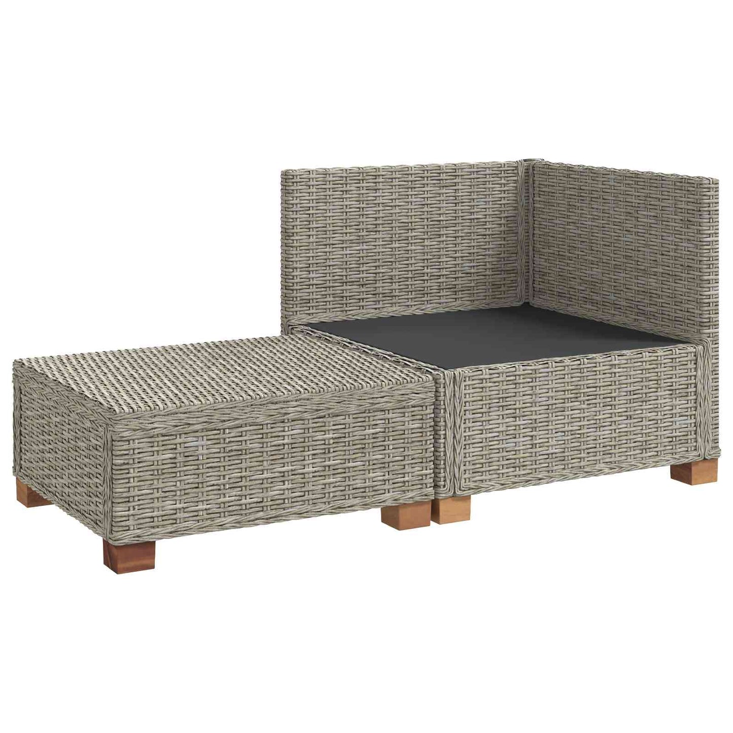 vidaXL 2 pcs Rattan Lounge Set with Cushions GENDT Natural Rattan