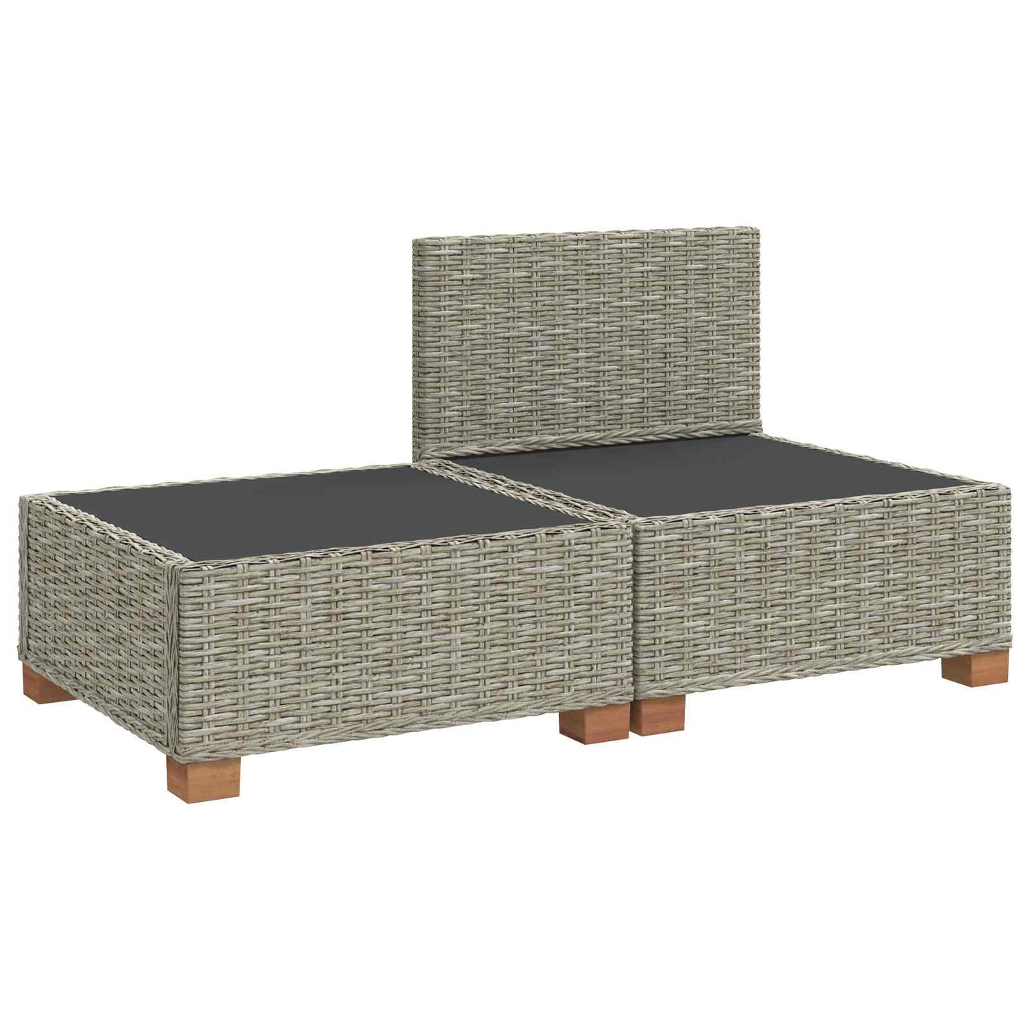 vidaXL 2 pcs Rattan Lounge Set with Cushions GENDT Natural Rattan