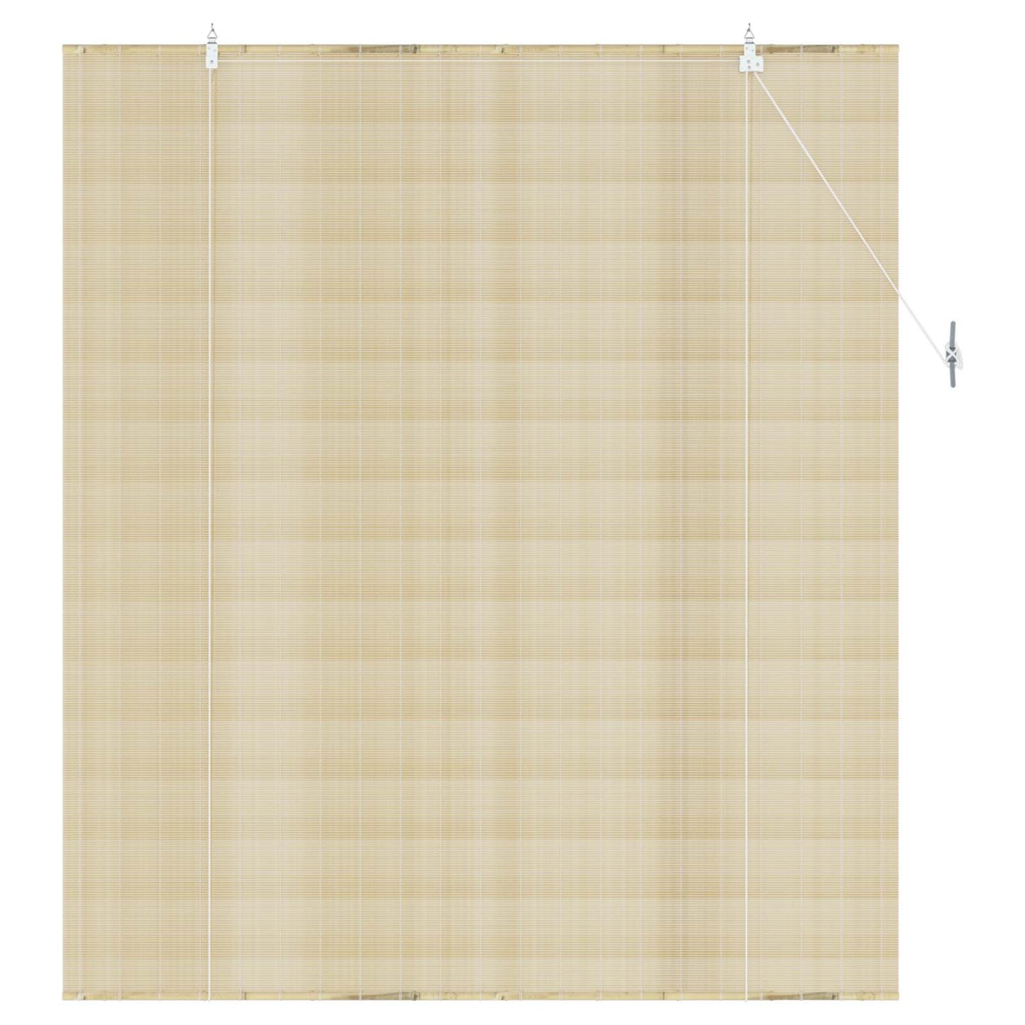 vidaXL Roller Blind Natural 160 x 160 cm Bamboo