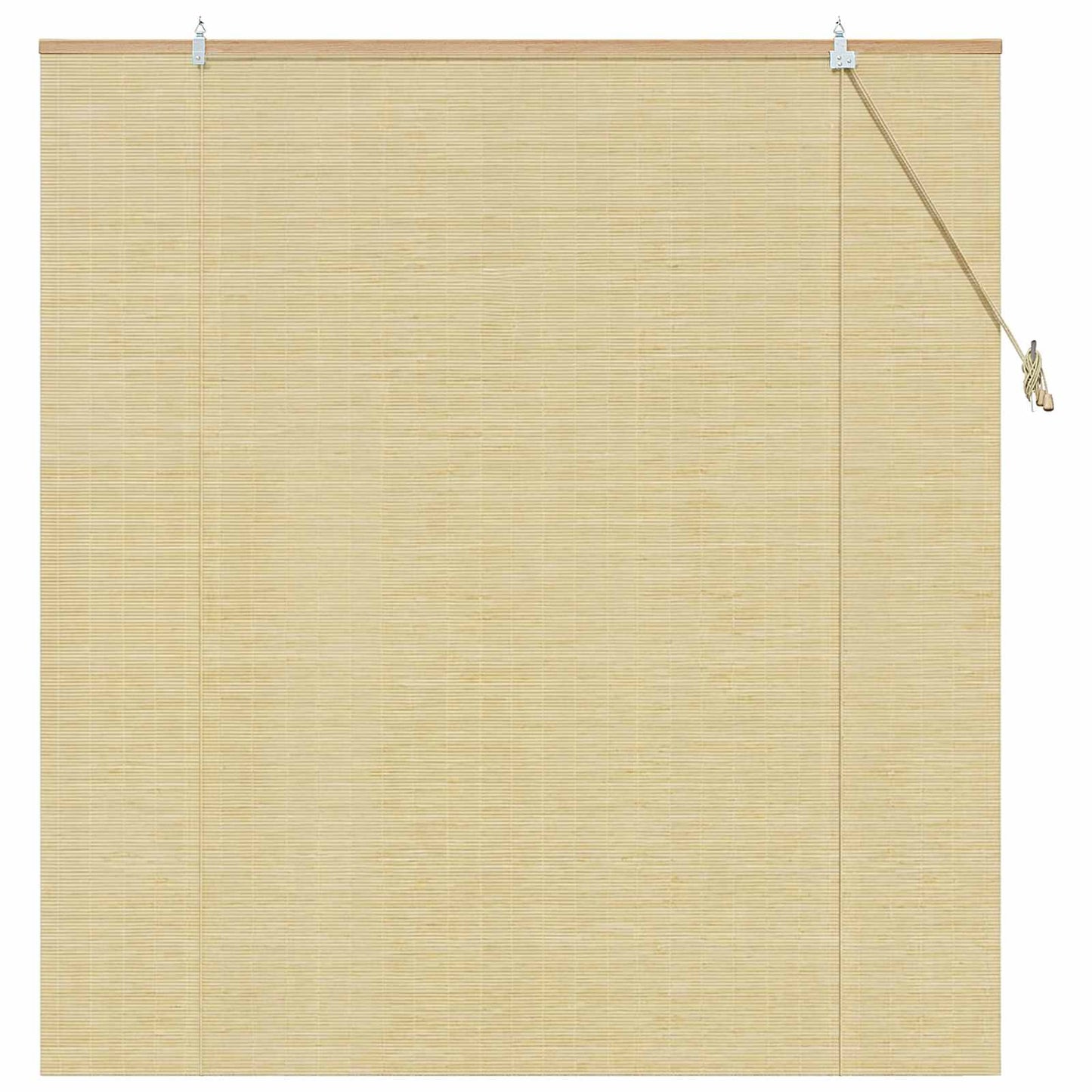 vidaXL Roller Blind Natural 160 x 160 cm Bamboo