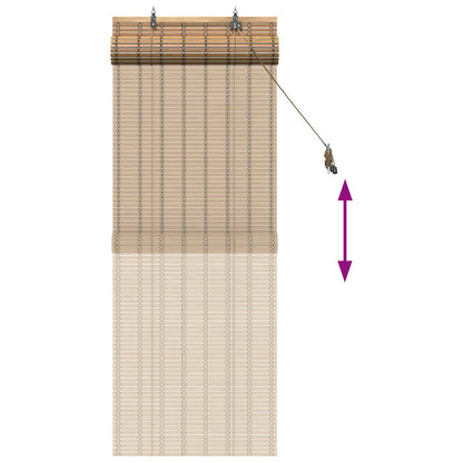 vidaXL Roller Blind Natural and Brown 50 x 160 cm Bamboo