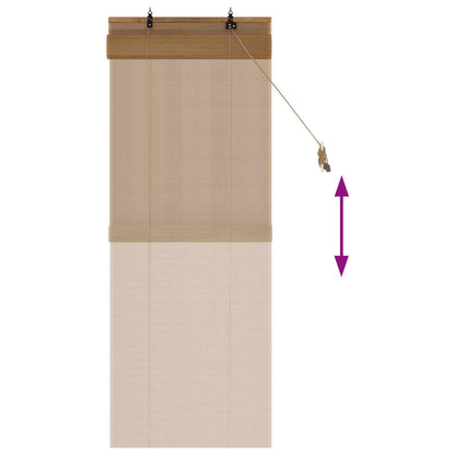 vidaXL Roller Blind Brown 70 x 160 cm Bamboo