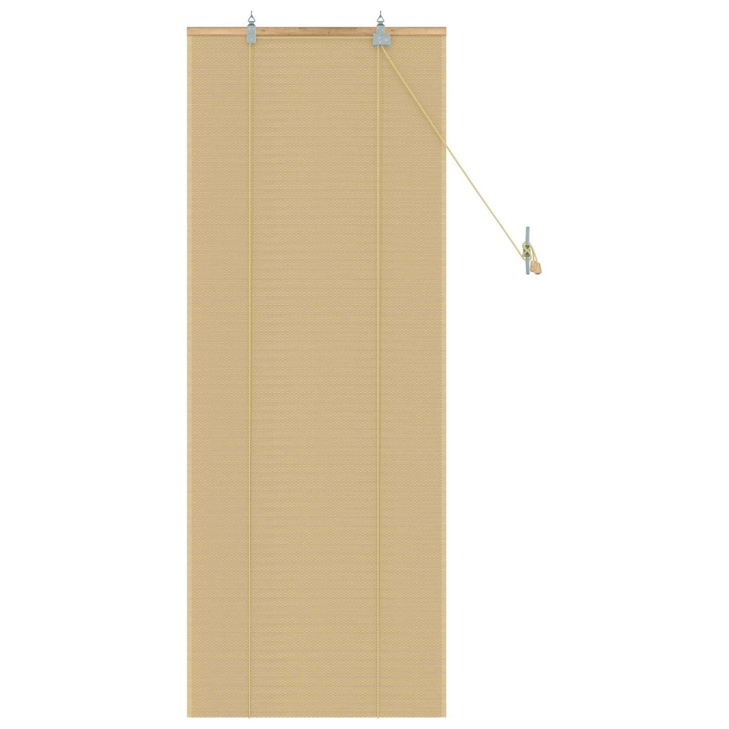 vidaXL Roller Blind Natural 60 x 160 cm Bamboo