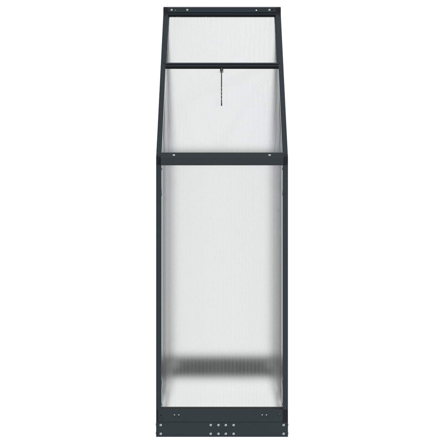 vidaXL Garden Greenhouse with Door Anthracite 183.5 x 63.5 x 207 cm