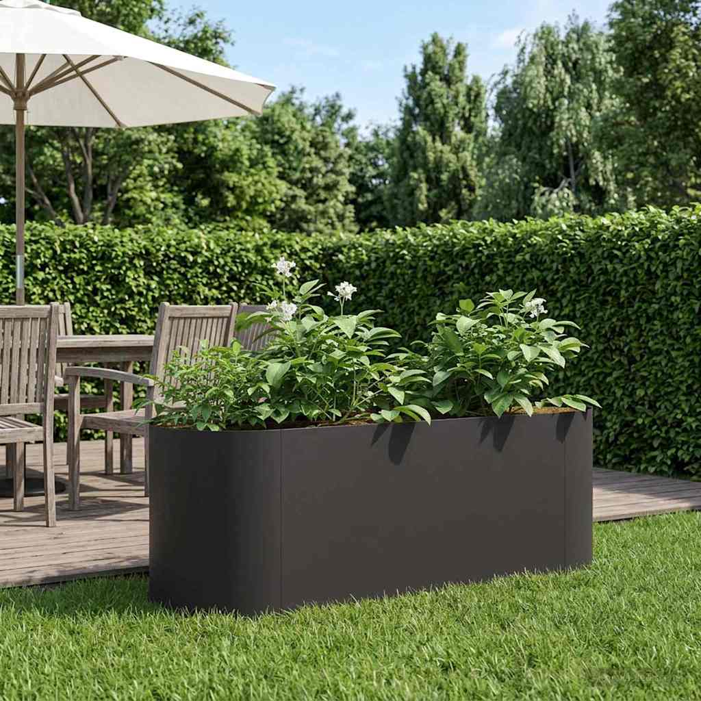 vidaXL Raised Garden Bed Black 120 x 40 x 40 cm Steel