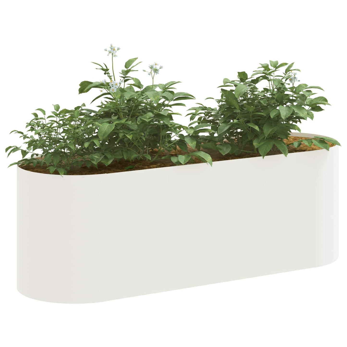 vidaXL Raised Garden Bed White 120 x 40x 40 cm