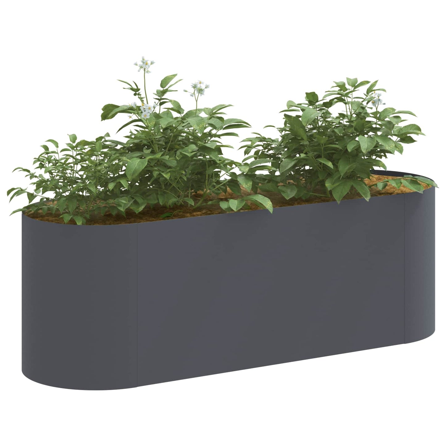 vidaXL Raised Garden Bed Anthracite 120 x 40x 40 cm