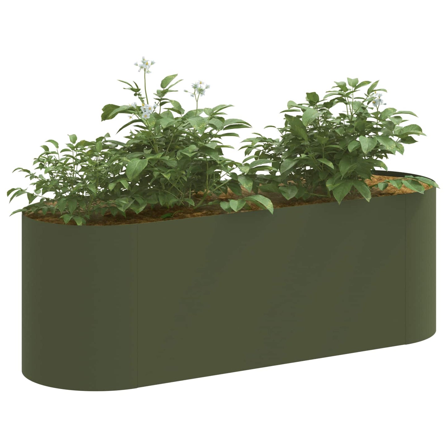 vidaXL Raised Garden Bed Olive Green 120 x 40x 40 cm