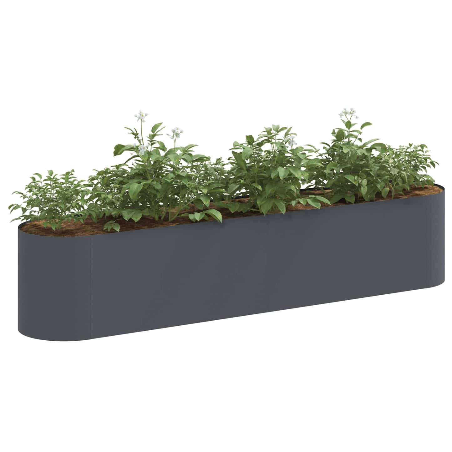 vidaXL Raised Garden Bed Anthracite 200 x 40x 40 cm